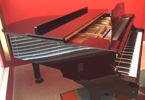2005 YAMAHA "DGC1" BABY GRAND PIANO WITH MARK III DISKLAVIER