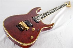 EDWARDS E-CY-165CTM Used  w/ Gigbag
