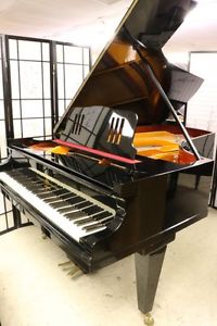 BLOWOUT! Bechstein Ebony Grand Piano 6'11" Rebuilt/Refinished (See Video)