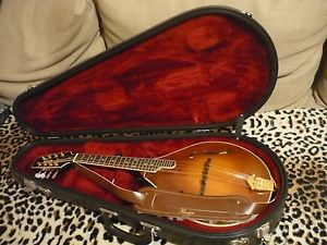 Lebeda mandolin A5 premium, built 2002, needs a nice home!