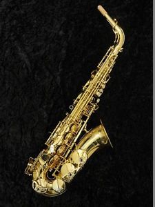 Yanagisawa A-WO10 New Alto Sax  w/ Hard case