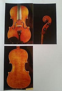violino di liutaio di Cremona 4/4 del 2006