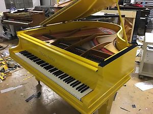 COLOURFUL BABY GRAND PIANOS - Tesoro Nero