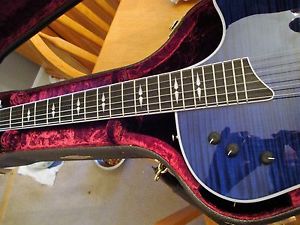Taylor Guitar T5 Pro