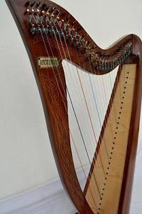 Natural Rosewood 29 string lever harp with Bag & Key
