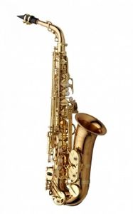 YANAGISAWA Alto Saxophone A-WO20 with case and mouthpiece