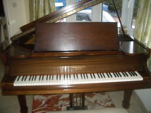 baby  grand pianio