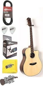 Breedlove Pursuit Dreadnought EB Ebony B&S A/E Guitar w/Gig Bag & More
