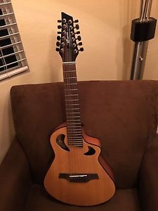 Veillette Gryphon high D scale 12 string Acoustic/Electric guitar
