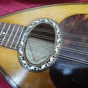 Mandolin Vinaccia 1915  sound sample and video ready