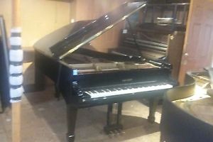 Grand Piano Schumann 6' 10" PRO Tone/ Touch LOW PRICE FREE MOVE/TUNE E USA