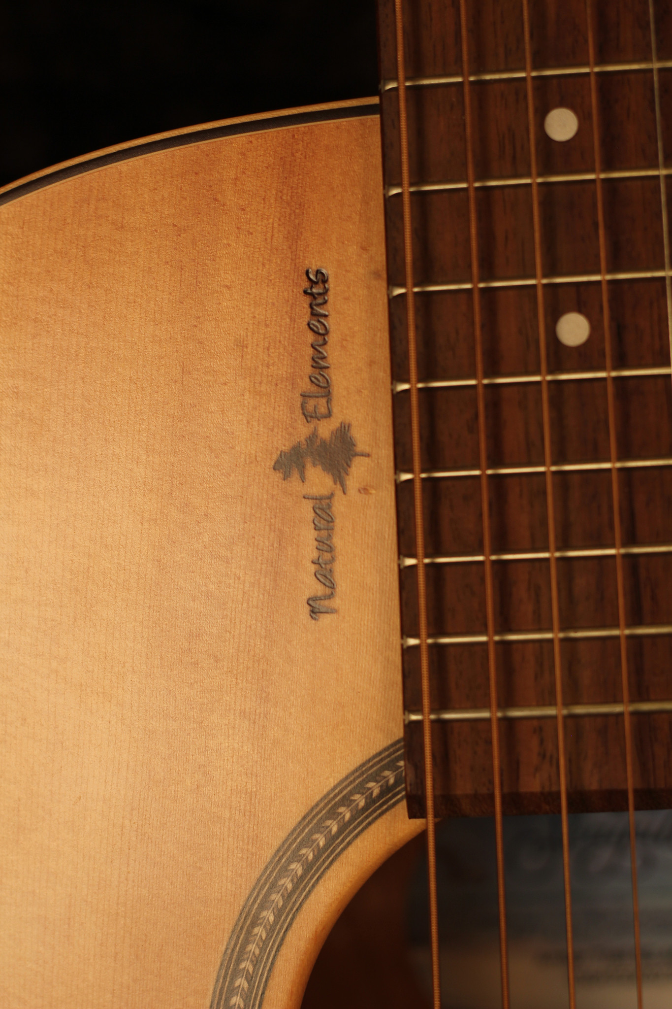 Seagull / Natural Elements Amber Trail SG / Dreadnought Acoustic EA