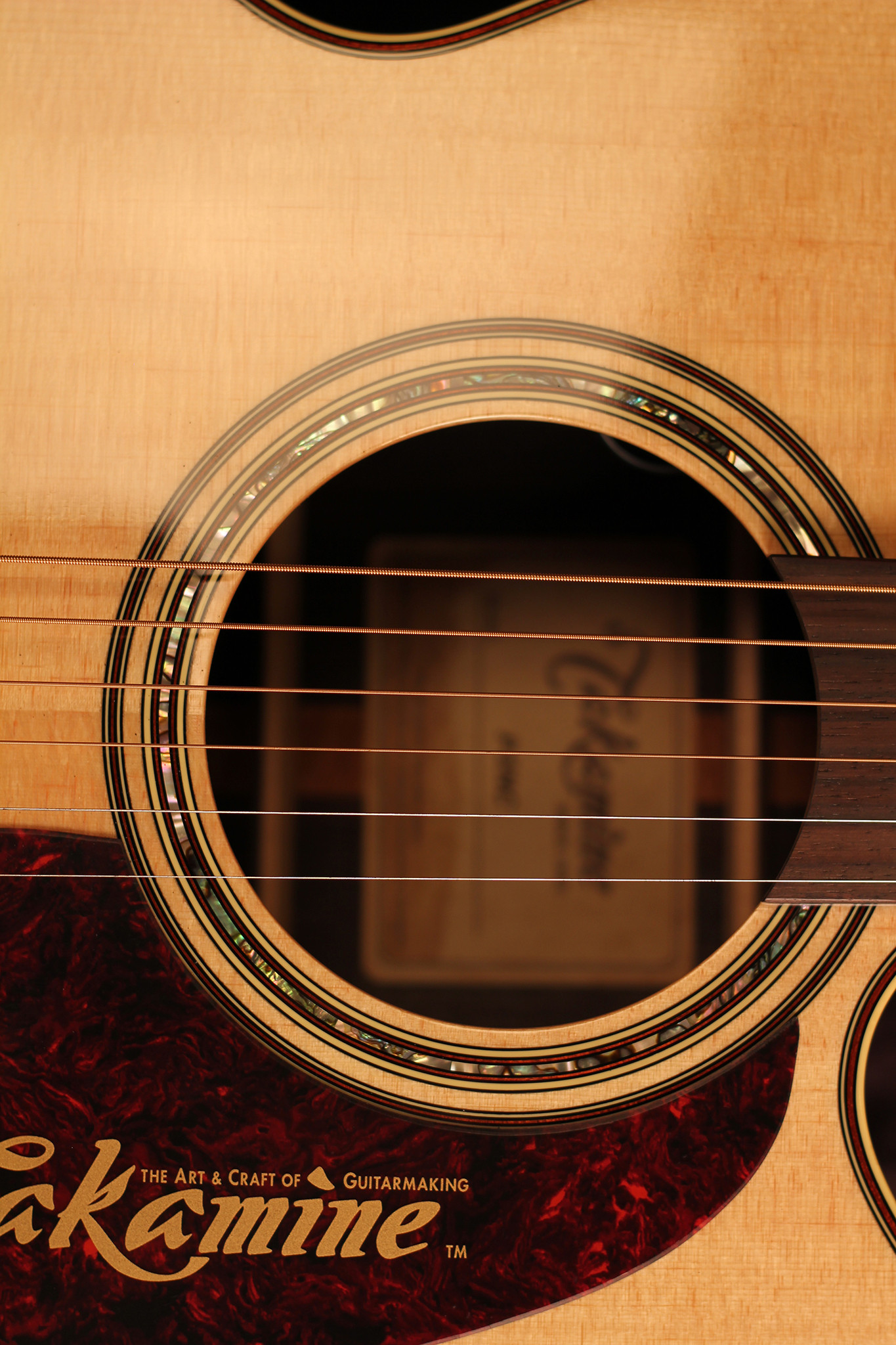 Takamine / Pro Series 5-NC  / NEX Auditorium Acoustic CWE