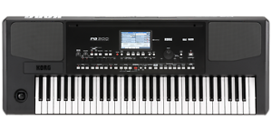 **KORG PA300** 61 KEY