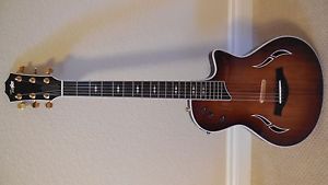 Taylor Custom T5-C Acoustic/Electric Guitar