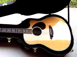 Zager EZ-Play Modified Breedlove Stage D25 Acoustic Electric Guitar