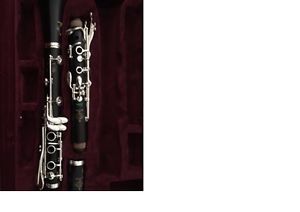 Buffet Crampon R13 A Greenline professional clarinet silver keys