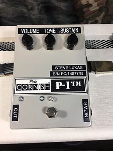 Pete Cornish P-1