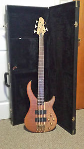 PEAVEY CIRRUS BXP WALNUT 5 STRING ELECTRI BASS W/CASE