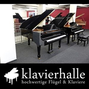 Klangvoller Hyundai (Samick) Flügel, 182cm, schwarz poliert ★ vom Fachhändler