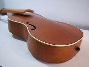 Geige Gambe Viola Damore Baroque Da Gamba Johannes Adler Diskantgambe  Altgambe