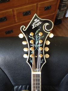 The Loar LM-700 used w/HSC