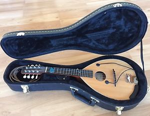 Big Muddy MANDOLIN Wide Neck M-4, Case , Strap, Pickup