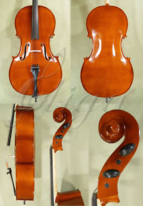 **European 4/4 Cello Case Bow - ROMANIA Toplita Handmade**
