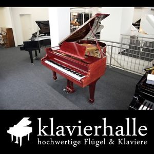 Sehr schöner Samick Flügel, 175cm, mahagoni poliert ★ vom Fachhändler