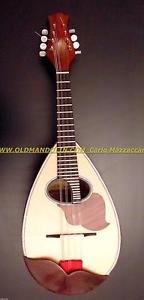 Mandolin  MAZZACCARA CARLO mod  ST1-S from Italy
