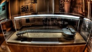 Rickenbacker Gitarre Frying Pan