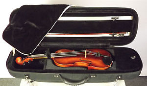 VNice 40 yr old  Roderich Paesold 4/4 Violin Fresh w/ Nice Acces