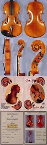 HANDmade Flamed Large 17" Maestro 'GLIGA' Antiqued STRAD Pattern VIOLA