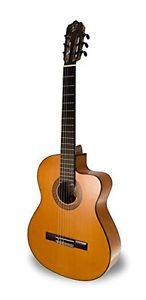 APC Instruments 9F Chitarra Classica