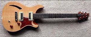 PRS Paul reed Smith SE Semi Hollow