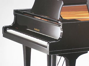 Yamaha Flügel G5 ,schwarz ,197cm, schöner u.guter Flügel von  REHA-PIANO-AURICH