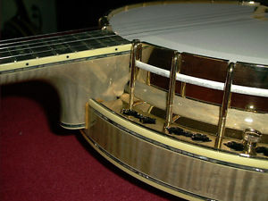 Custom Stelling Staghorn Banjo