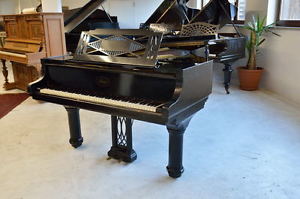 Ibach Flügel Modell Richard Wagner