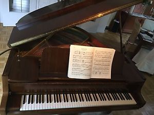 Schimmel Flügel Modell 150 nussbraun, Stutzflügel