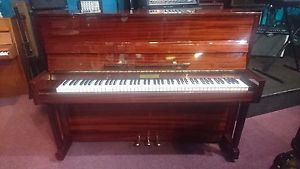 Neumann high gloss walnut piano