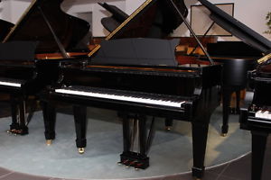 Steinway & Sons Flügel, Mod. M 170, vom Klavierbaumeister generalüberholt
