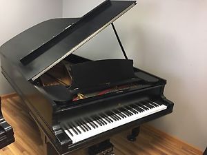 Steinway B Semi Concert Grand