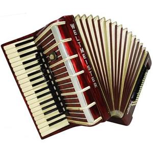 Weltmeister Amigo 96 Bass, 16 Switch, Case, made in Germany, Piano Accordion 879