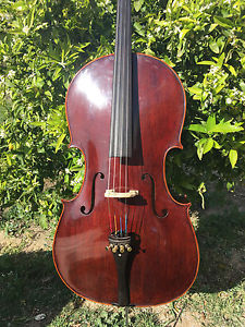 Cello 4/4 Montagnana 1739