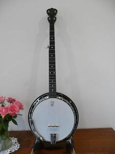Deering Sierra Banjo, in very good condition. Terrific banjo
