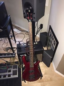 Spector NS2000/4 4-string Bass Guitar