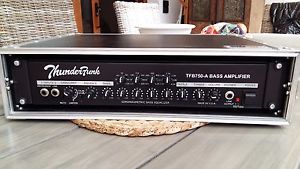 Thunderfunk TFB750-A Testata per basso - PERFETTA con case rigido Proel