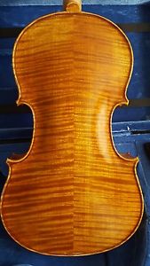 viola, 16 inch,  parola