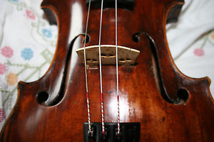 Violine