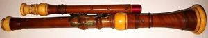 Oboe Baroque Rare Old Antique Collection Boxwood